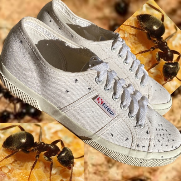 superga 275